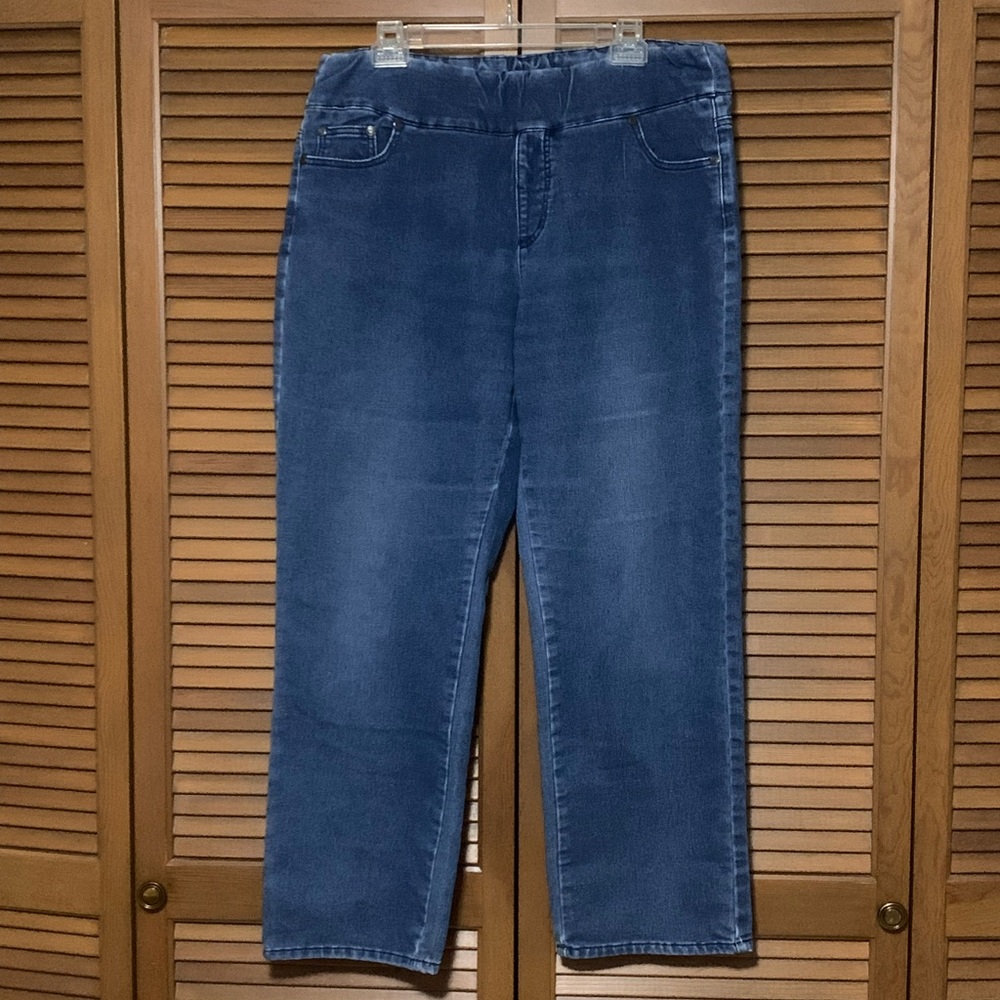 Chadwicks Pull On Jean Jeggings Blue 16